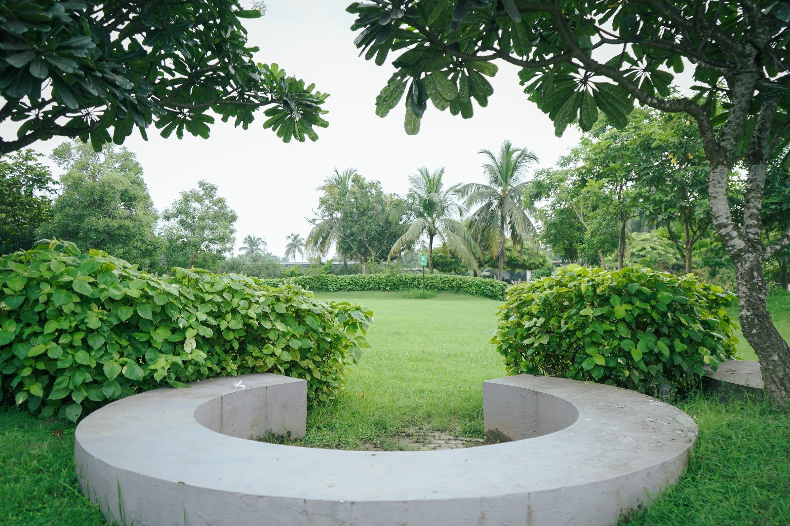 13 Acres of Green Calm